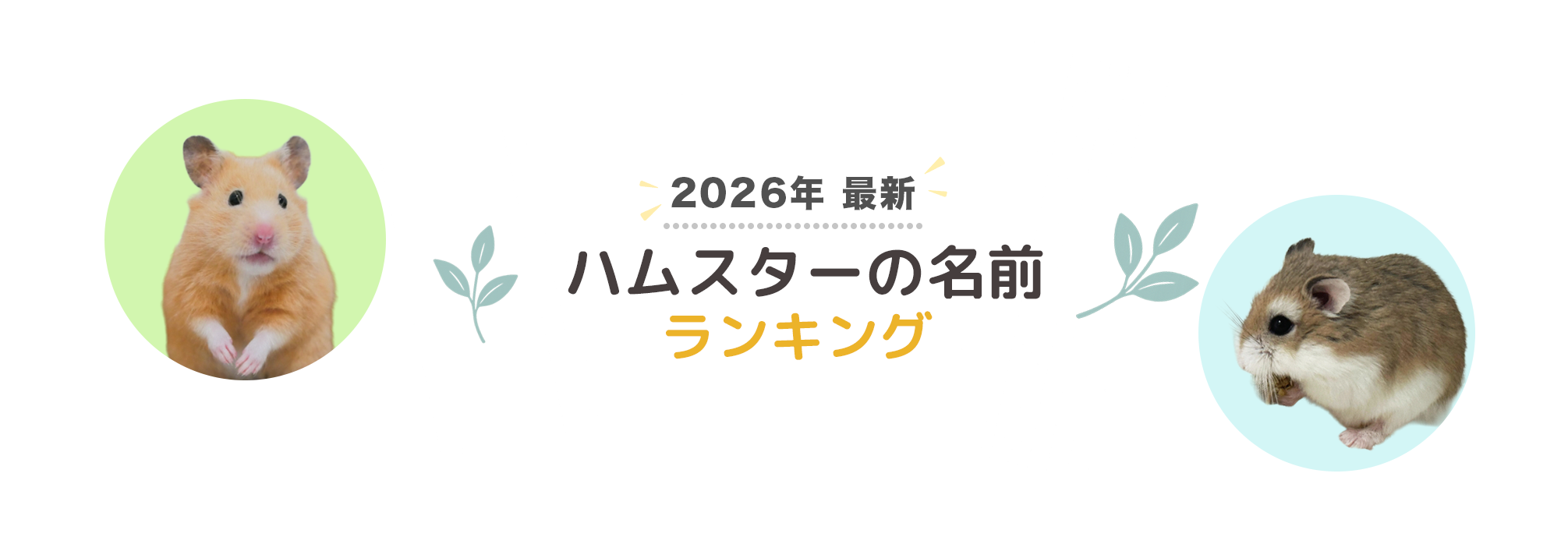 2026年ハムスターの名前ランキング