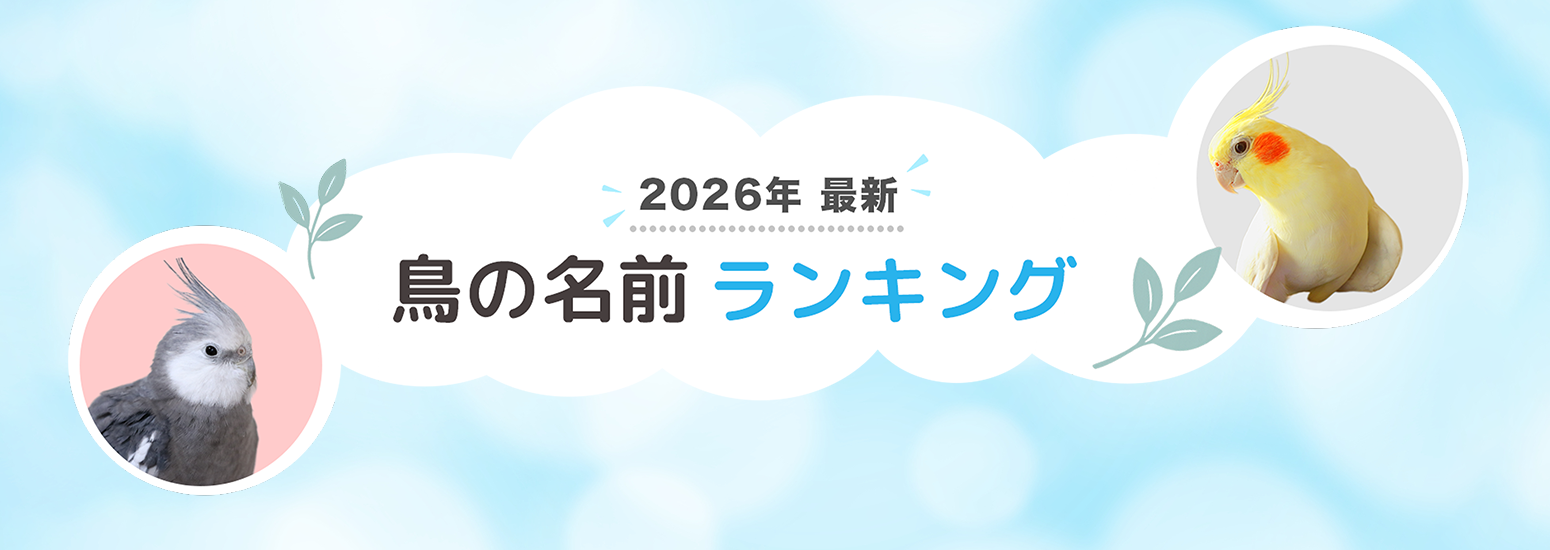 2026年鳥の名前ランキング