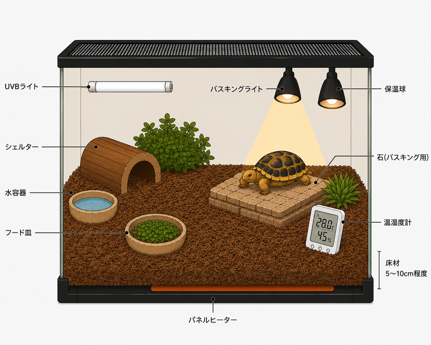 ヘルマンリクガメのケージレイアウト例