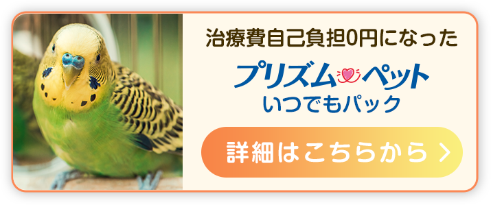 ちょっとした症状でも、迷わず病院へ。