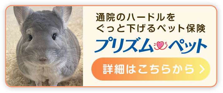 ちょっとした症状でも、迷わず病院へ。