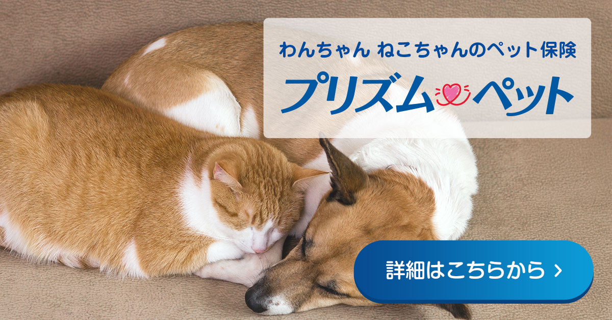 おすすめのペット保険
