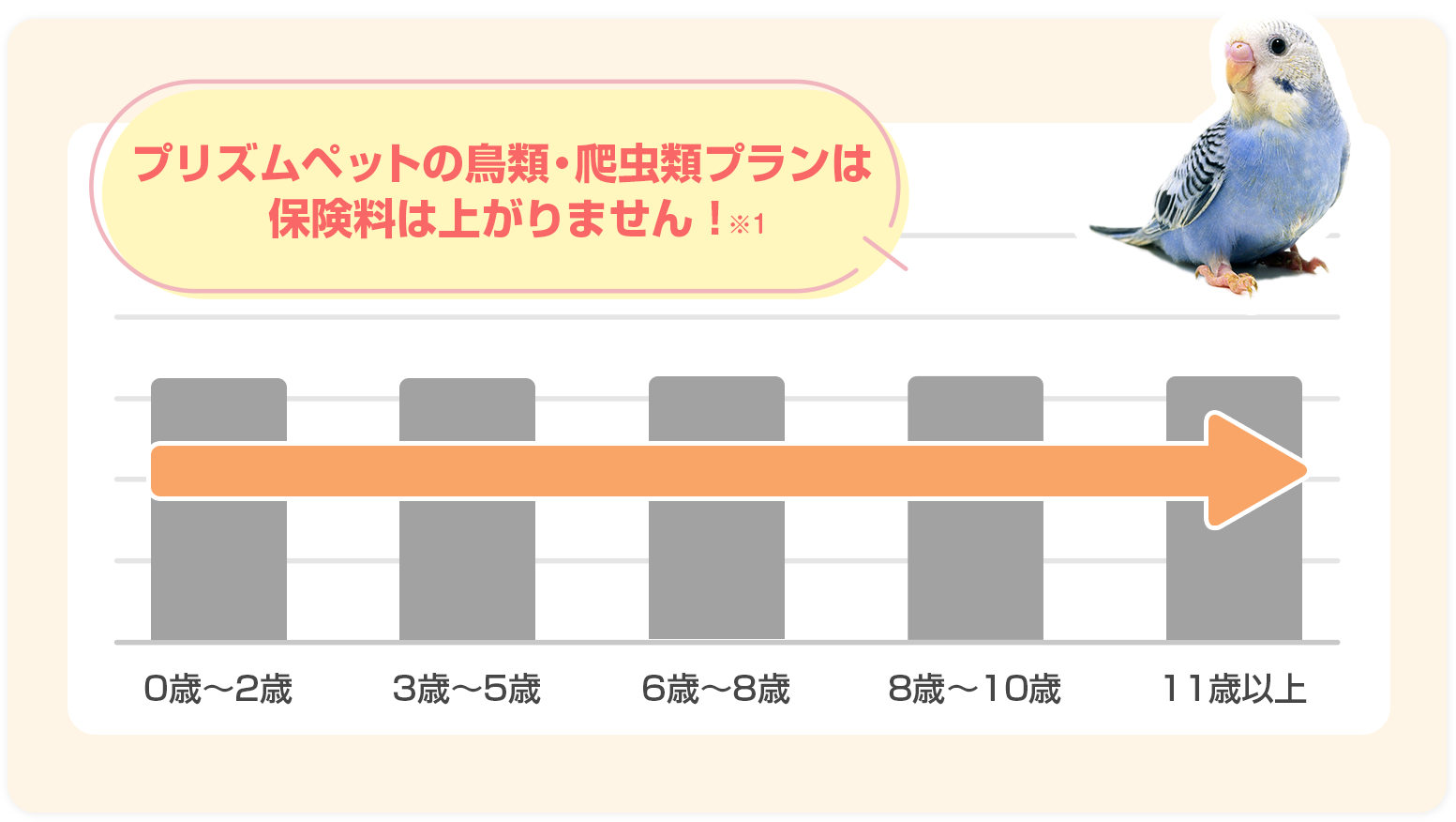 年齢が上がっても保険料が上がりません