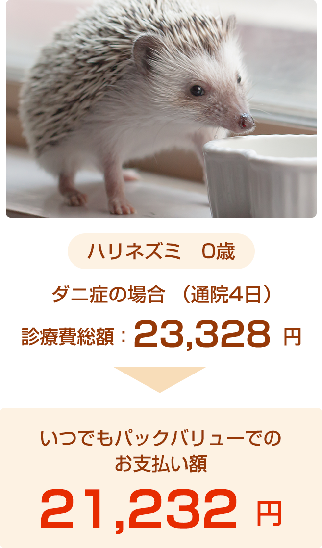 ハリネズミ事例