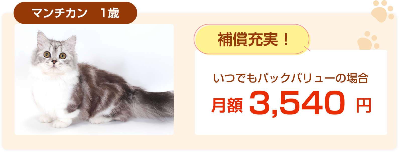 マンチカン1歳保険料例