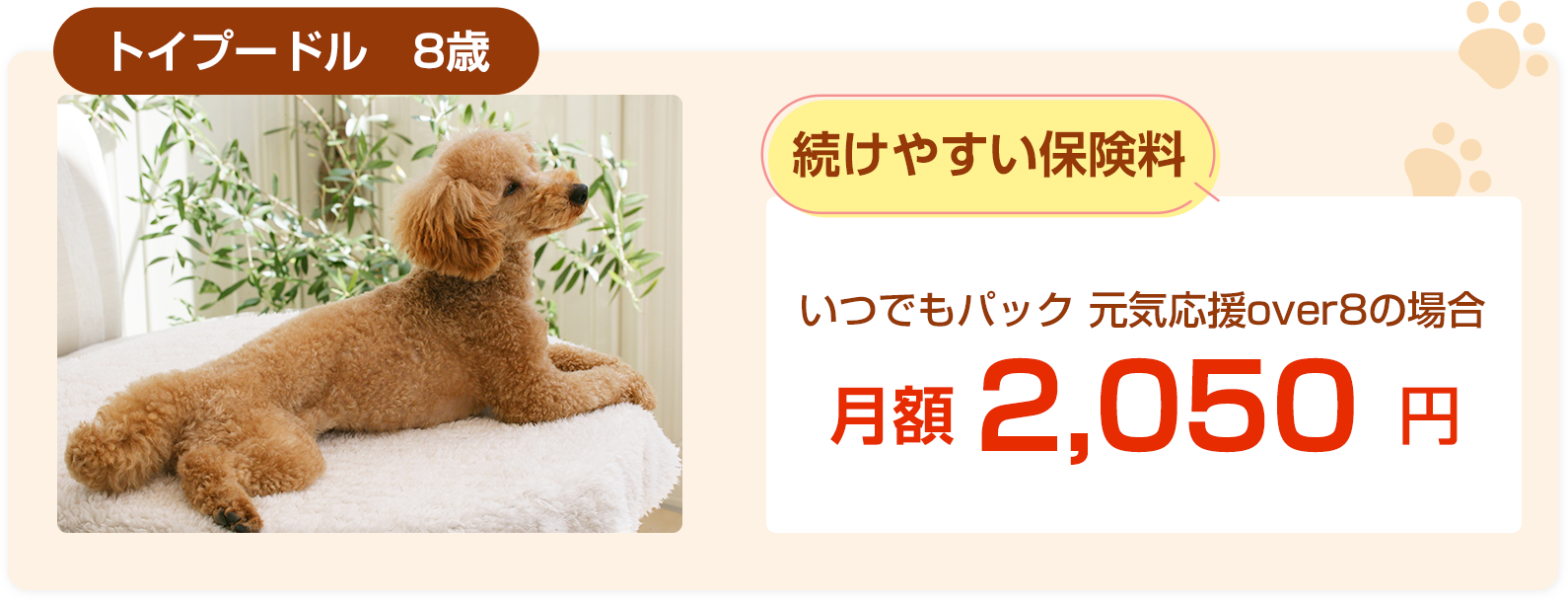 トイプードル8歳保険料例