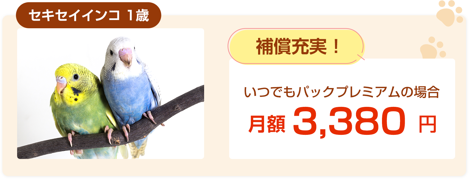 インコ1歳保険料例