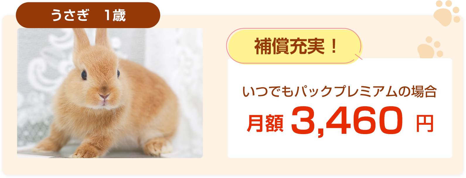 うさぎ1歳保険料例