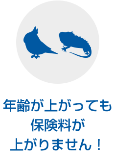 年齢が上がっても保険料が上がりません