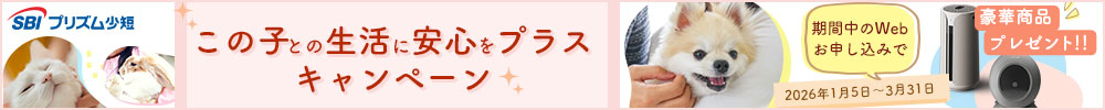 この子との生活に安心をプラスキャンペーン