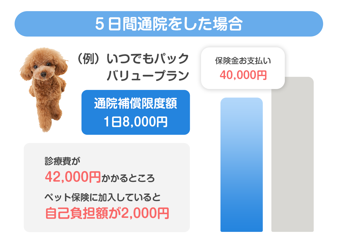 5日間入院をした場合の保険料