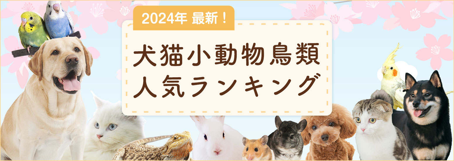 【2024年最新】犬・猫・小動物・鳥類人気ランキング〜今人気のペットが明らかに！〜