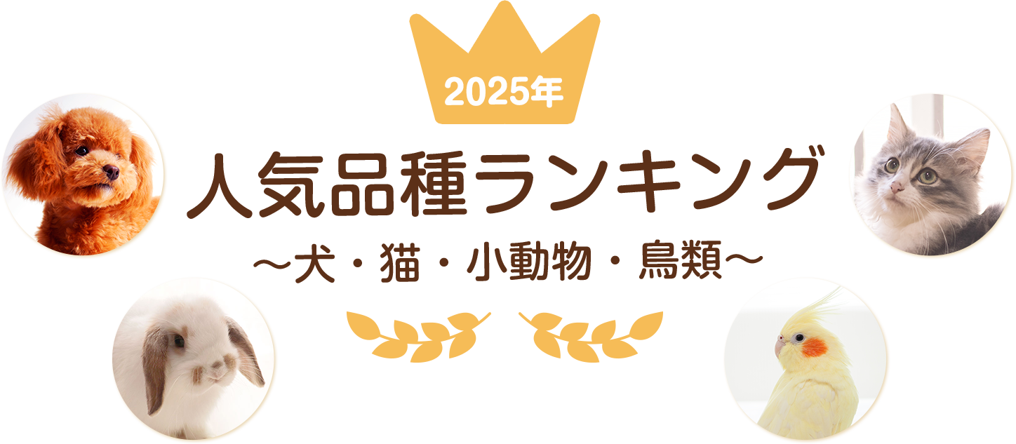 2025年度犬猫小動物鳥類人気ランキング