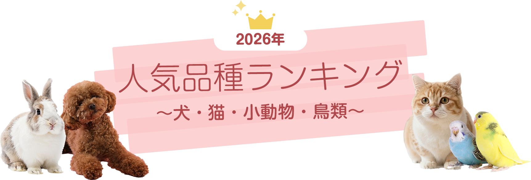 2026年度犬猫小動物鳥類人気ランキング