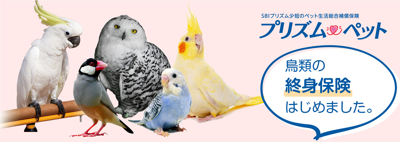 ペット保険 プリズムペット鳥類
