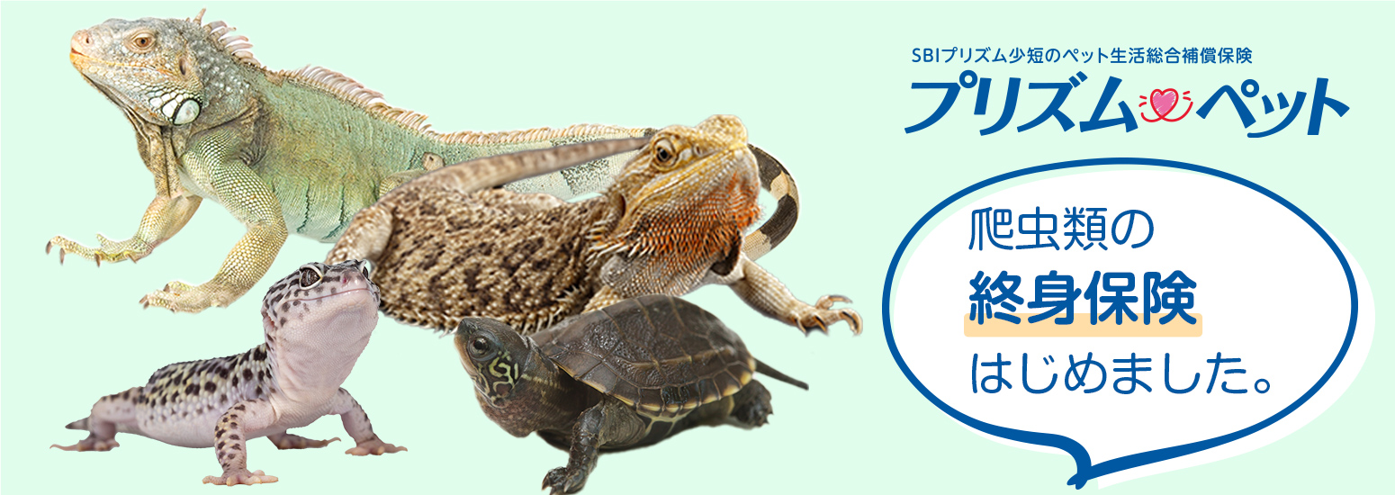 ペット保険 プリズムペット爬虫類